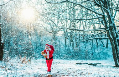 Kış parkı ağaçları karla kaplı. Noel Baba çocuklara hediye getirir. Büyükbaba Noel Baba ormanda yürüyor.