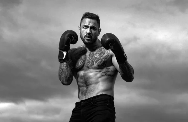 Sport boxing. Sportsman boxer fighting on sky background. Strong athletic man with boxing gloves punching. Muscular boxing man