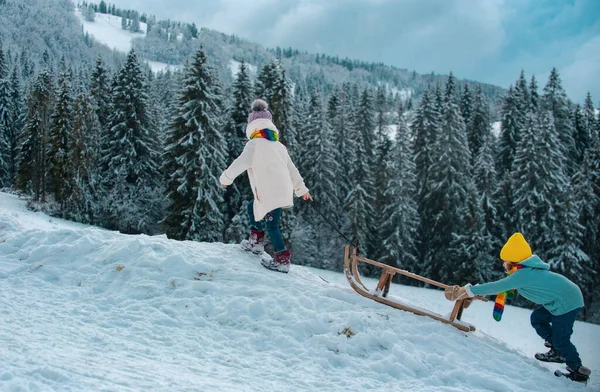 Kızaktaki Çocuklar Çocuklar Dışarıda Karda Oynuyorlar Kış Tatil Noel Zamanı — Stok fotoğraf