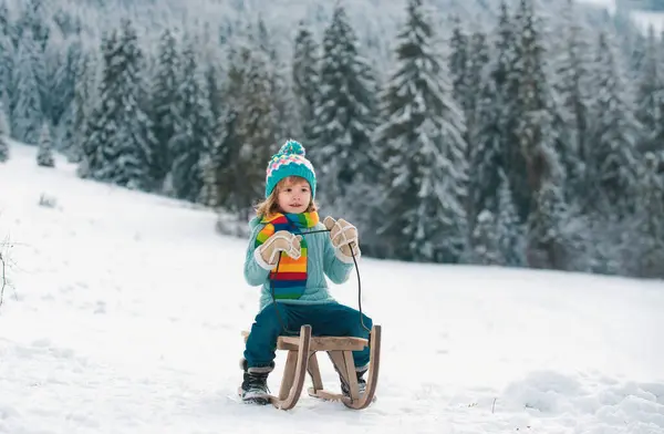 少年は そりに乗って楽しむそり 子供がそりに座っている 子供たちは雪で遊ぶ 冬休みのコンセプト 素晴らしいクリスマスシーン — ストック写真