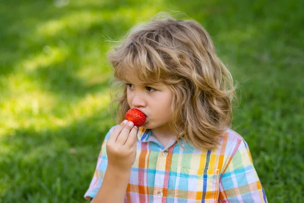 夏天可爱的孩子的脸 孩子们采摘和吃成熟的草莓 快乐的孩子拿着新鲜的水果 草莓草莓 健康的有机草莓水果 — 图库照片