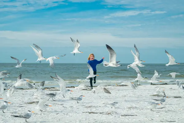 Excited Kid Running Beach Happy Child Running Seagull Birds Having — Stock Photo, Image