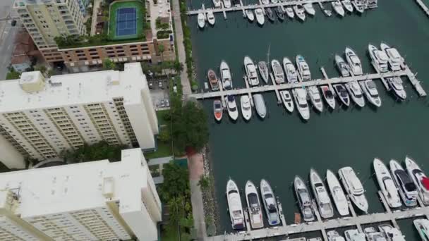 Flygfoto Över Yacht Club Och Marina Miami Stranden Båt Venetianska — Stockvideo