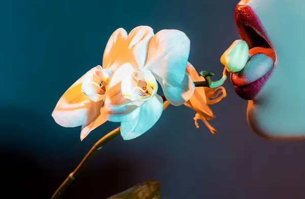 Sexy Frau Zunge Lecken Blume Orchidee Und Frauenlippen Orchideenblume Auf — Stockfoto