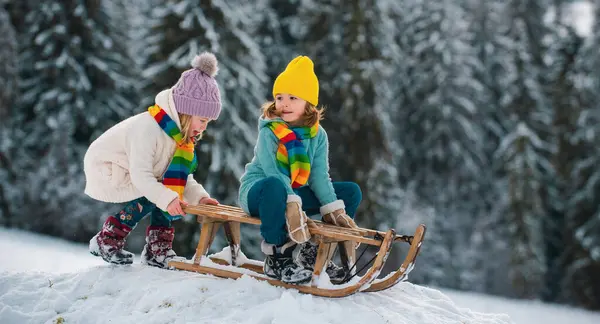 Happy Kids Having Fun Riding Sledge Winter Snowy Forest Winter — Stock Photo, Image