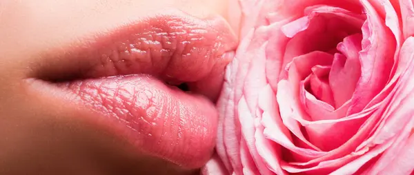 ピンクの口紅を閉じ唇のバナー 美しいです女性唇とともにローズ — ストック写真
