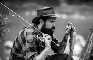 Kancada alabalık var. Sinek balıkçılık - alabalık yakalamak için yöntem. Dönen makaralı balık tutmak. Balık yakalar. Nehirde balık tutmak. Balıkçı ve kupa alabalığı