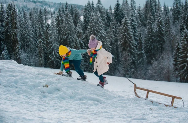Oğlan Kız Karlı Bir Ormanda Kızak Kayıyorlar Açık Hava Kış — Stok fotoğraf