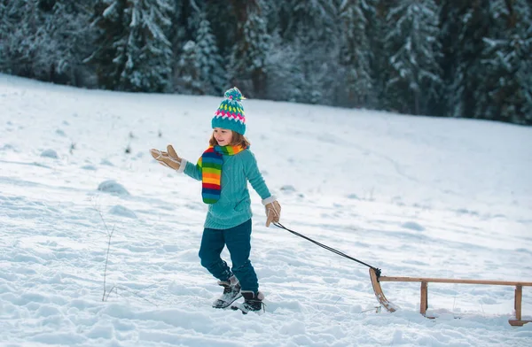 Boy Sledding Enjoying Sleigh Ride Child Sleigh Winter Vacation Concept — Stock Photo, Image