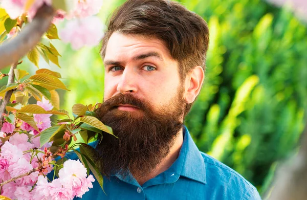 Close up portrait of spring man. Facial portrait of beautiful male model. Bearded man in light dress looking at camera while posing near flowering tree at sunny day
