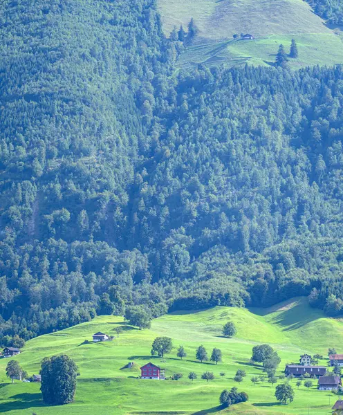 高山静养 山舒适的老房子 Rustic Charm 阿尔卑斯山逃跑 山之家阿尔卑斯山的一座舒适的木头房子 正在撤退 高山小屋 阿尔卑斯山的复古屋 森林附近的伍登家 — 图库照片
