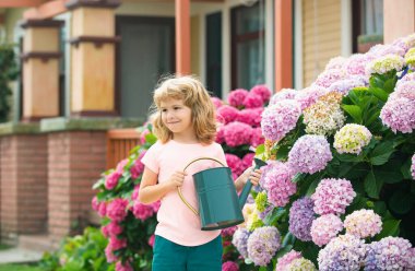 Güneşli yaz gününde bahçedeki bitkileri sulayan tatlı çocuk.
