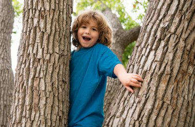 Aktif çocuk yaz parkında oynuyor ve ağaca tırmanıyor.