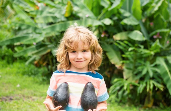Happy child showing avocado on summer garden. Kids healthy food