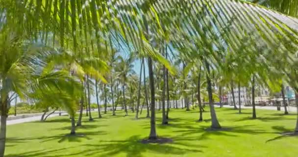 Miami Deki Ocean Drive Havadan Görüntüsü Miami Hava Manzaralı Art — Stok video