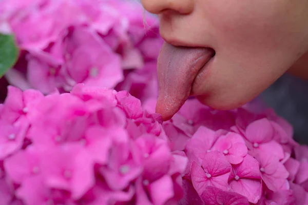 Lizanie Języka Ssij Liż Koncepcję Liżący Kwiat Seksowne Zmysłowe Usta — Zdjęcie stockowe