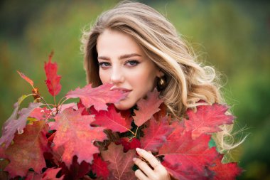 Sonbaharda güzel bir kız. Genç kadın sonbaharda sarı sonbahar yaprakları topluyor. Güzel kadın, sonbahar sarısı yaprağını tutar ve yüzüne düşer. Sonbahar döneminde şehvetli bir kadının portresi.