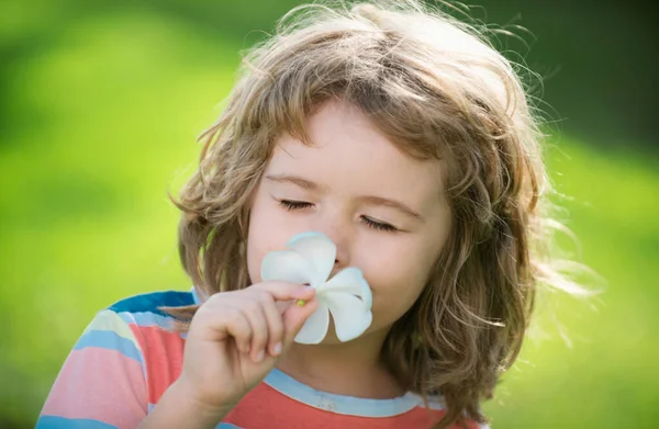 Engraçado Criança Cheirando Flor Plumeria Rosto Perto Crianças Verão Parque — Fotografia de Stock