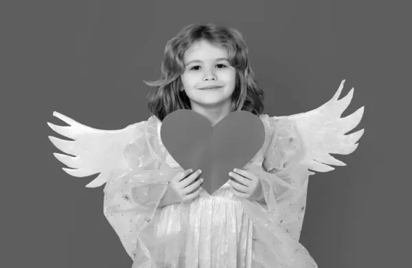 有爱心的天使般的孩子可爱的天使小孩 工作室的肖像 天使般的孩子 有天使般的翅膀 与世隔绝的背景 — 图库照片