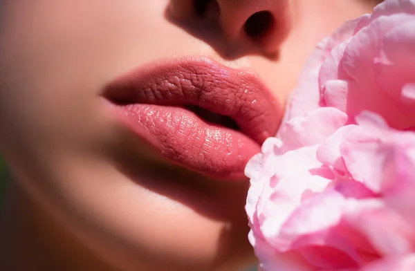 Perfect natural lip makeup. Close up macro photo with beautiful female mouth. Plump full lips. Beautiful woman lips with rose