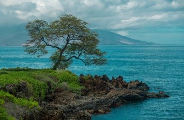 Tayland 'daki Idyllic Sahili. Tropikal mavi deniz ve kumsal arka planı