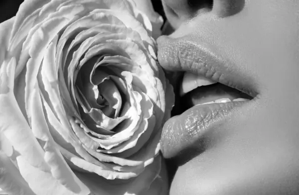性感女人的唇与美丽的玫瑰 唇膏特写唇 美丽的性感女人的唇与玫瑰 — 图库照片