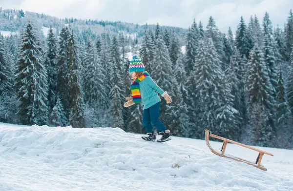 Boy Kid Sliding Sledge Winter Snow Christmas Kids Holidays Happy — Stockfoto