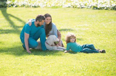 Anne, baba, oğul ve evcil köpek yaz parkında eğleniyorlar.