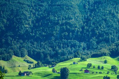 Alpine İnzivası. Dağ sıcacık Eski Ev. Kırsal Cazibe. Alpine Kaçamağı. Dağ evi. Alplerde rahat bir ahşap ev, inziva. Alp Dağı 'ndaki ev. Alplerdeki Retro House. Orman yakınlarındaki ahşap ev