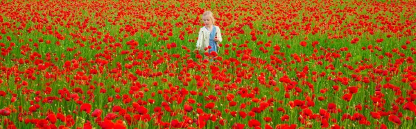 Spring and kid. Banner for website header. Spring girl. Beautiful child girl are wearing casual clothes in field of poppy flowers. Spring blossom background