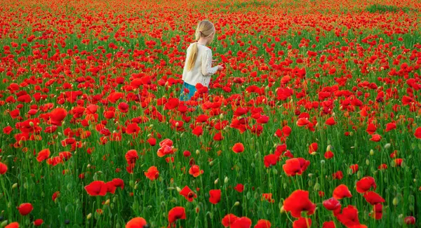 Little Girl Poppies Meadow Beautiful Daughter Poppy Field Outdoor Spring — Stock Photo, Image