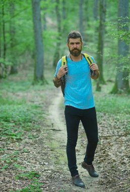 Bir adam orman boyunca kırsal bir yerde yürüyüş yapıyor. Ormandaki genç adam. Sırt çantalı bir yürüyüşçü ormanda yürüyüş yapıyor.