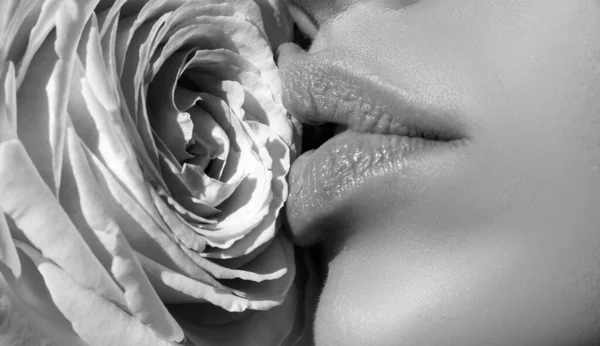 Woman kissing red rose flower. Lips with lipstick closeup. Beautiful woman lips with rose