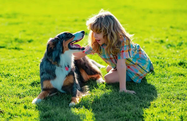 Blonde boy playing with dog on the lawn in the park. His pet attentively looks at the owner. Child with pet puppy dog. The doggy sitting on grass. Positive emotions of children
