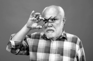 Berber makası. Yaşlı, kel, sakallı, gri bıyıklı adamın portresi.