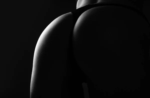 Sexy Big Ass Erotic Lingerie Closeup Great Ass Sexy Female — Stock Photo, Image