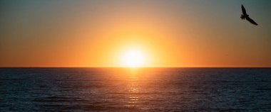 Tropikal denizin üzerinde sahil gündoğumu. Sahilde renkli bir gün batımı. Cennet plajı