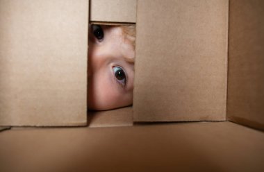 Heyecanlı çocuk kutuya bakıyor, karton kutu taşıyor. Yakından bakan gözler.