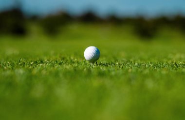 Golf topu yeşil sahada. Golf topunu çimenlere yumuşak bir şekilde yaklaştır.