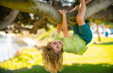 Şirin sarışın çocuk bir ağaç dalında asılı duruyor. Yaz tatili, ağaca tırmanan küçük bir çocuk. Tepetaklak. Oğlan yaz parkında ağaca tırmanıyor.