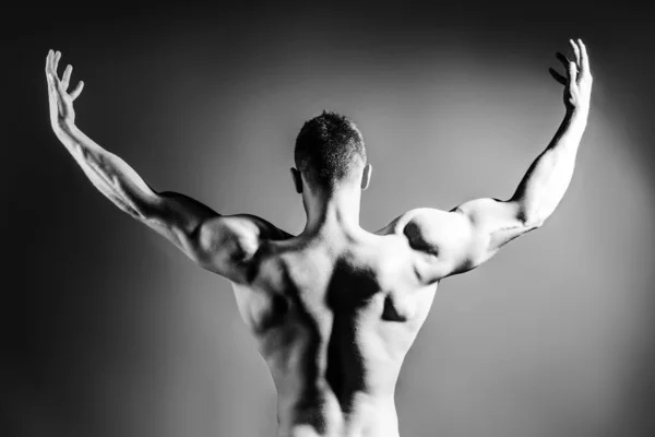 Modelo Sexy Corpo Muscular Homem Forte Forma Corpo Masculino Homem Imagens Royalty-Free