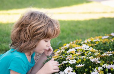 Çiçek açan yaz bahçesinde çiçek toplayan sevimli küçük çocuk. Bahar çocuğu suratı. Yazın çimlerin üzerinde çiçeklerle mutlu küçük bir çocuk. Bahçedeki çayırda küçük şirin bir çocuk.