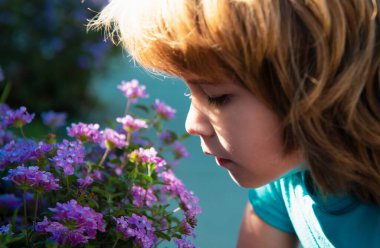Bahar ya da yaz çocuğu çiçek açan dalı koklar. Çiçek açan bahçede tatlı bir çocuk.