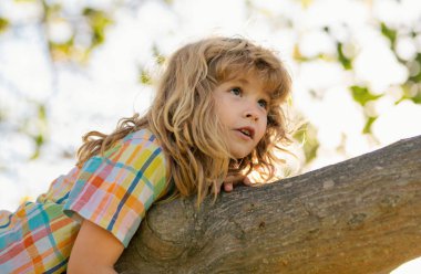 Ağaç dalındaki çocuk. Çocuk macera parkında tırmanıyor. Sigortacı çocuklar. Küçük çocuk ağaca tırmanmaya çalışırken zorlanıyor. Oğlan yaz parkında ağaca tırmanıyor.