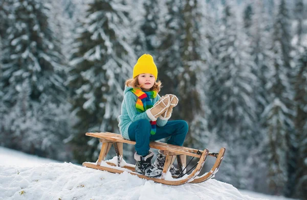 冬の雪の森でそりに乗ったり 雪玉で遊ぶ冬の季節を楽しむ幸せな子供たち — ストック写真