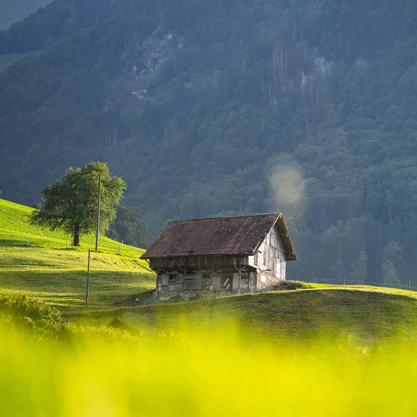 Köy Evi Avrupa Alplerindeki Eski Ormandaki Eski Kulübe Avrupa Alplerinde — Stok fotoğraf