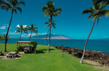 Kum, okyanus, palmiye yaprakları, palmiye ağaçları ve mavi gökyüzü olan tropik deniz plajı. Yaz sahili geçmişi