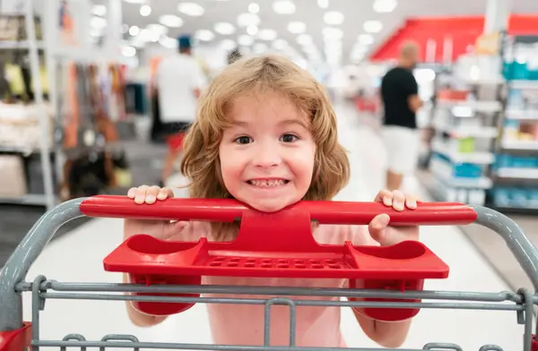 Anak Dengan Keranjang Belanja Membeli Makanan Toko Kelontong Pelanggan Anak — Stok Foto