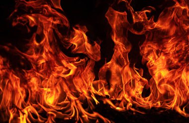Siyah arka planda yangın alevleri. Ateş, izole edilmiş, soyut bir yapı. Yanan ateşle yanan efekt