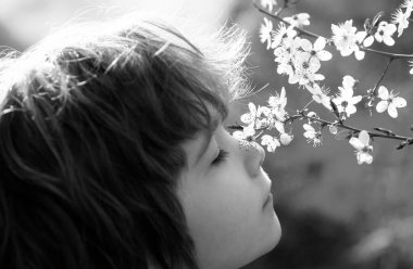 Şirin çocuk çiçek açan ağacı kokluyor. Çiçek bahçesindeki yaz çocuğu.